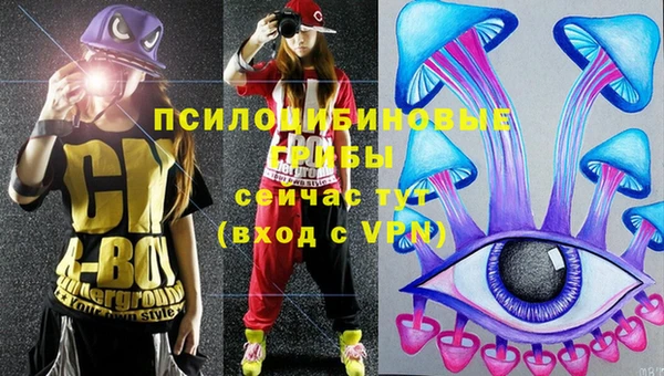 каннабис Абаза
