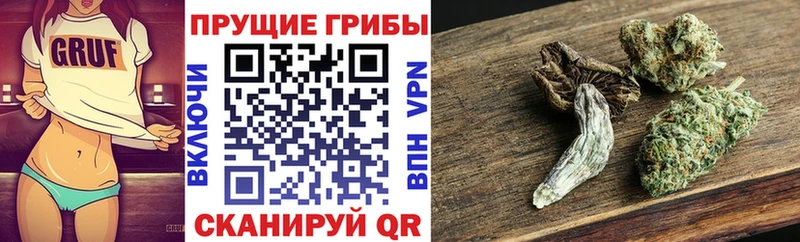 Галлюциногенные грибы Cubensis  Чухлома 